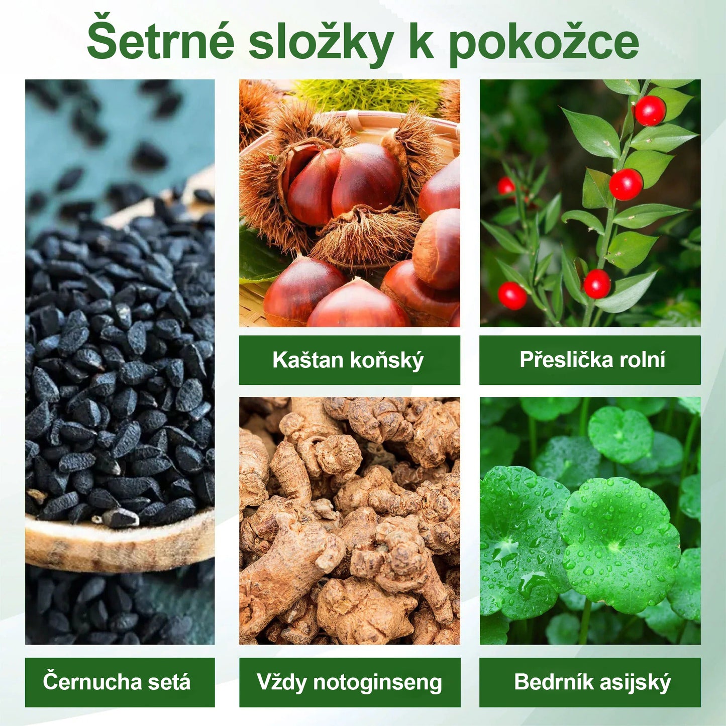 🌿🌿🌿Malenia® Bylinný krém zmírňující otoky s černuchou